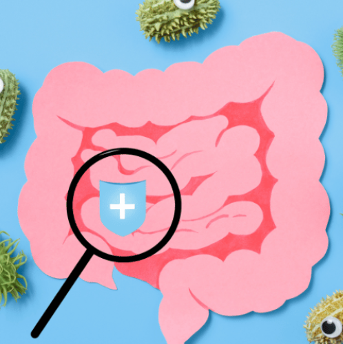 10 Ways to Nurture a Healthy Gut Microbiome through Nutrition​